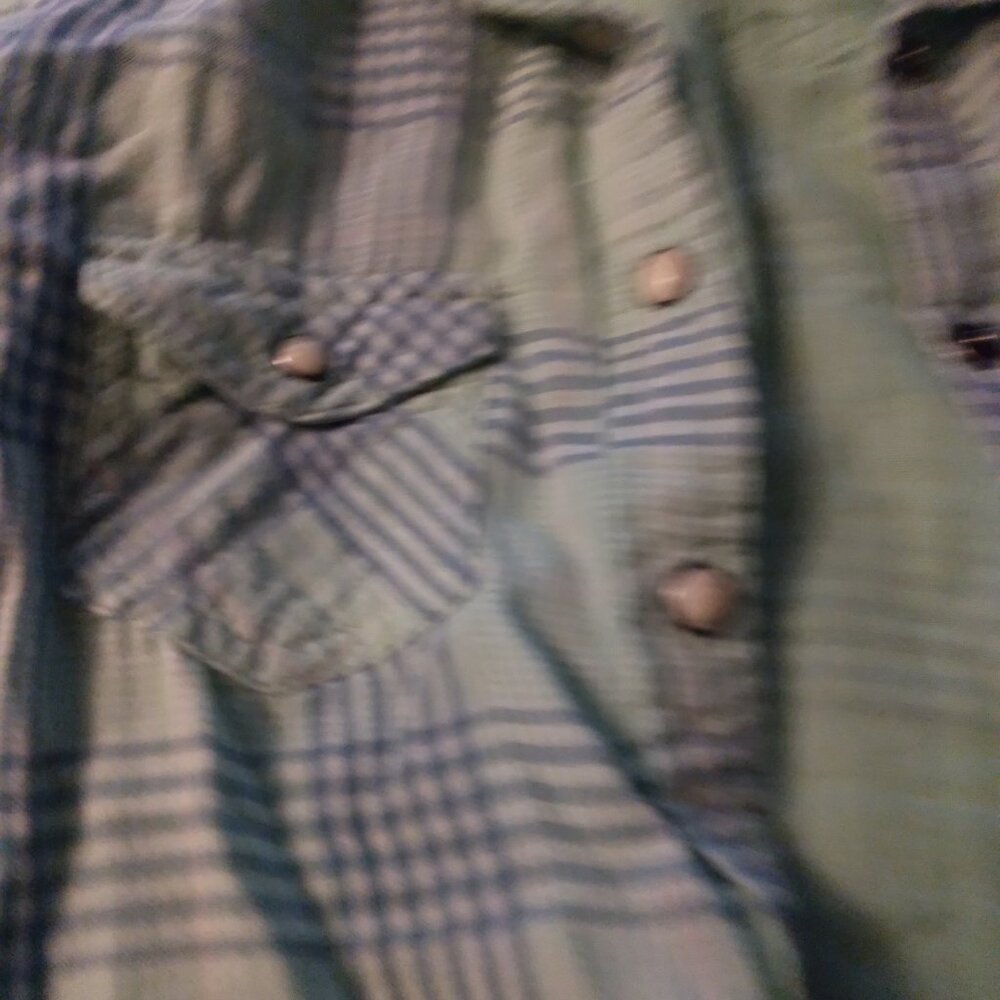 American eagle